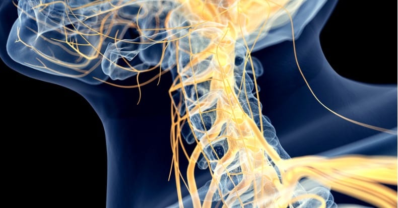 Cervical spine manipulation alters sensorimotor integration: A somatosensory evoked potential study
