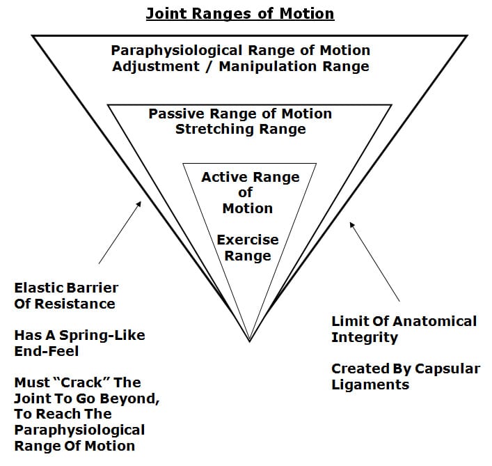 joint ranges of motion