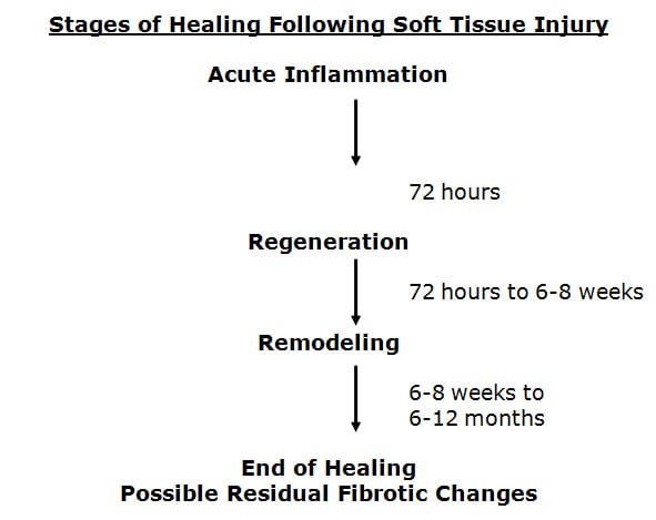 Typical injuries caused to soft tissue and healing processes: (a)