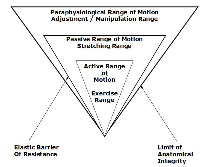 Joint Ranges of Motion