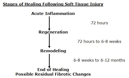 stages of healing following soft tissue injury