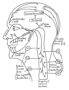 Extracranial Causes of Headaches…A Review of the Works of Neurosurgeon ...