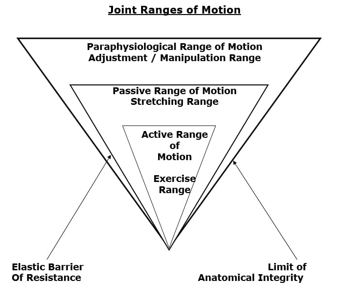 joint ranges of motion