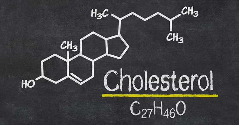 The Cholesterol Controversy!