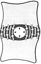 Above and below each intervertebral disc is the vertebral body. The vertebral body is quite vascular (it has a well developed blood supply). Between the disc and the vertebral body is a porous cartilaginous end plate. Disc cell nutrition, health, water binding and hydrostatic properties are dependent upon motion. Deleterious consequences are inevitable following anything that impairs intervertebral disc motion.