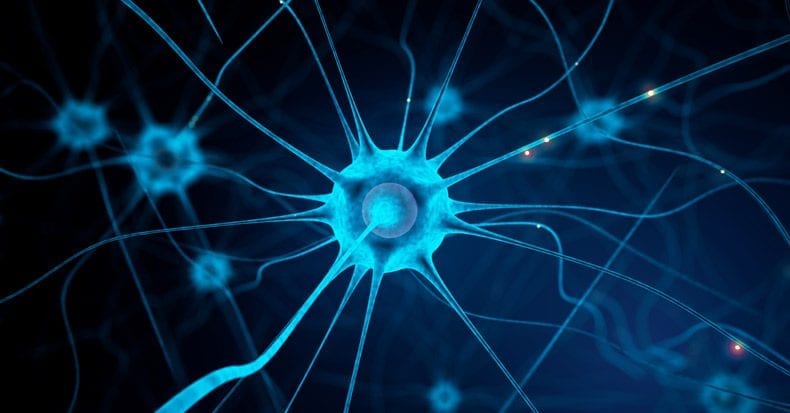 can damaged nerves regenerate