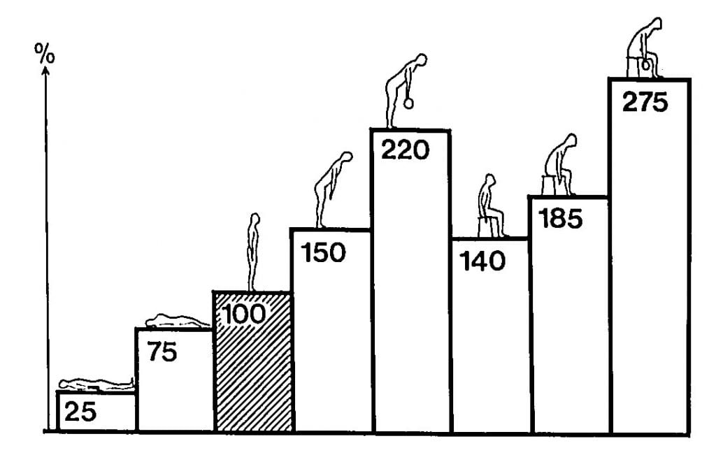 How The Low Back Functions and How to Avoid Back Problems