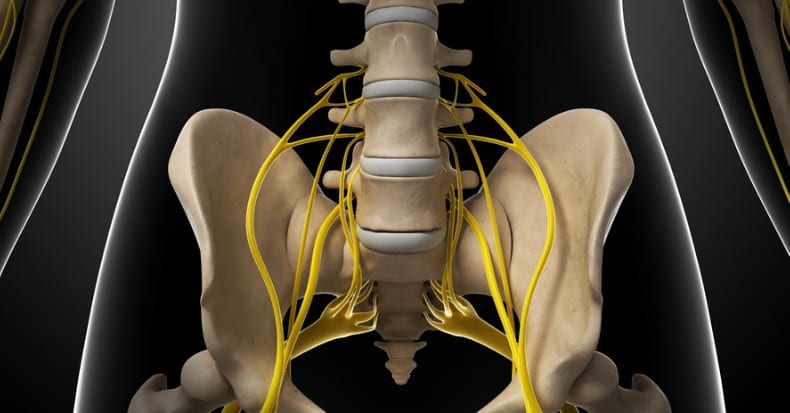 Movilización Neural y Dolor Lumbar