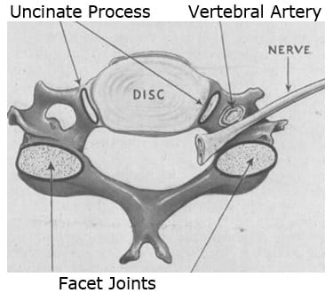 ucinate process