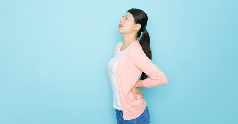 Pathoanatomy and Pathophysiology of Chronic Low Back Pain and Chiropractic Care