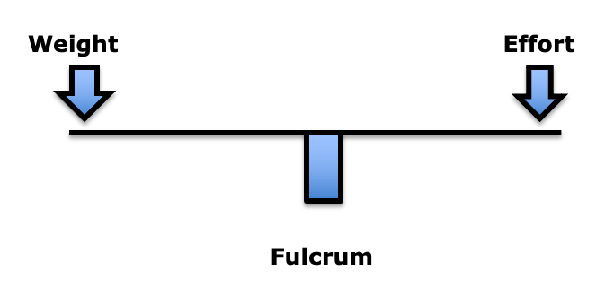 In the first-class lever mechanical system, the fulcrum is between the weight and the effort. The fulcrum is the site of greatest mechanical stress. In the spine, the fulcrum is the spinal joints, specifically the intervertebral discs and the facet joints. More important than weight is the distance the weight is from the fulcrum. This is load (19). To maintain upright posture, the load must be counterbalanced by effort on the opposite side of the fulcrum. This effort is supplied by muscle contraction.