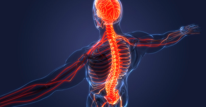 The Chiropractic Management of Neuropathic Pain